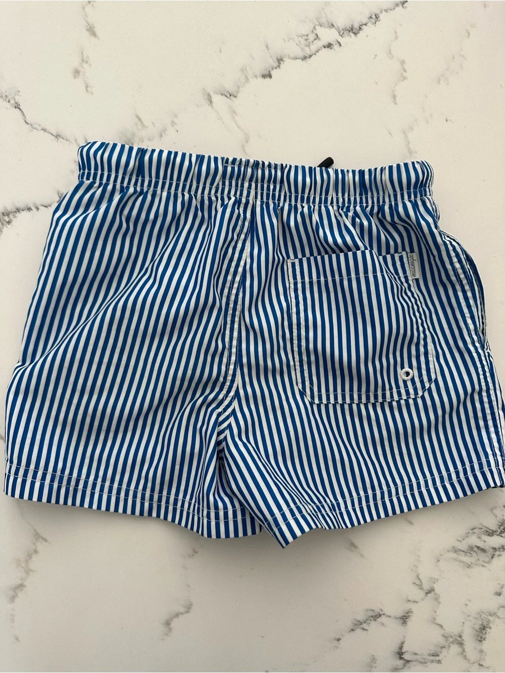 Boy Toddler Blue and White Striped Swim Shorts, 4T
